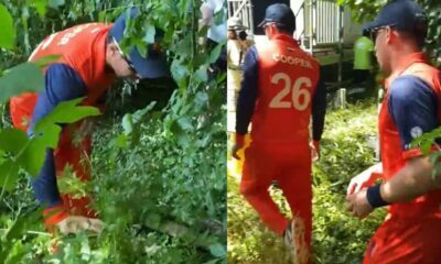David Malan hit massive six ; Netherlands players searching the ball in bushes