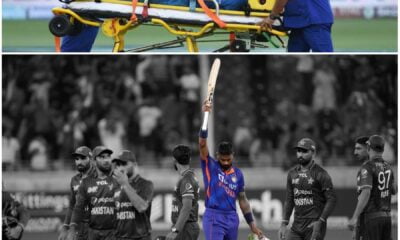 The Rise of pandya